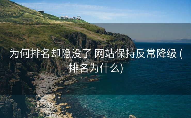 为何排名却隐没了 网站保持反常降级 (排名为什么)