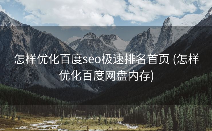 怎样优化百度seo极速排名首页 (怎样优化百度网盘内存)
