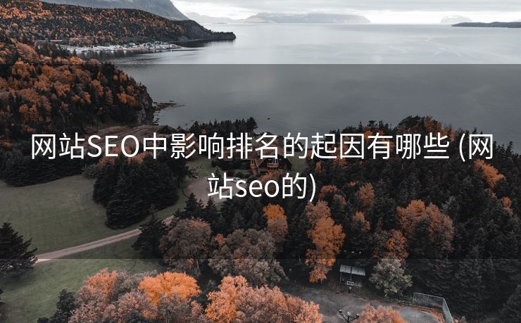 网站SEO中影响排名的起因有哪些 (网站seo的)