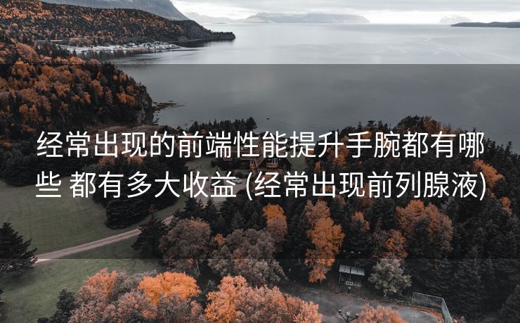经常出现的前端性能提升手腕都有哪些 都有多大收益 (经常出现前列腺液)