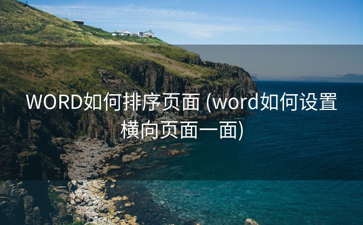 WORD如何排序页面 (word如何设置横向页面一面)
