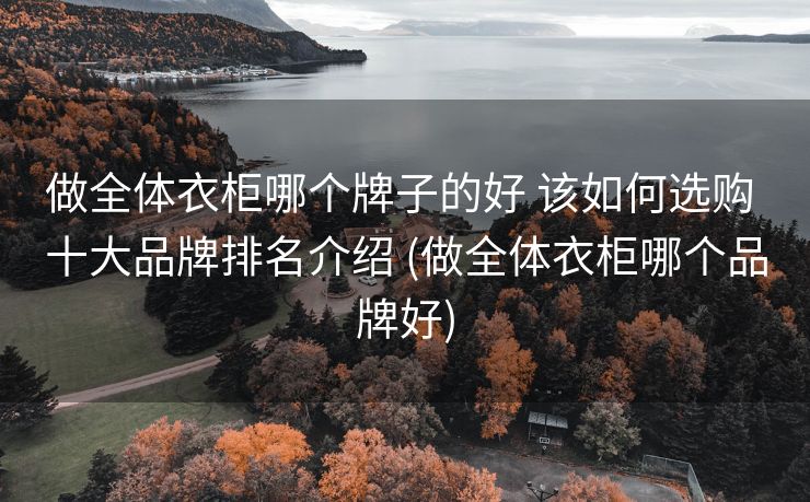 做全体衣柜哪个牌子的好 该如何选购 十大品牌排名介绍 (做全体衣柜哪个品牌好)