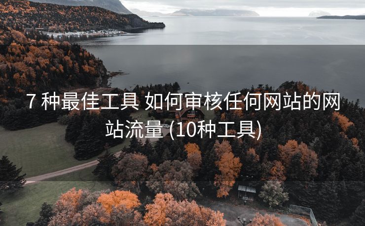 7 种最佳工具 如何审核任何网站的网站流量 (10种工具)