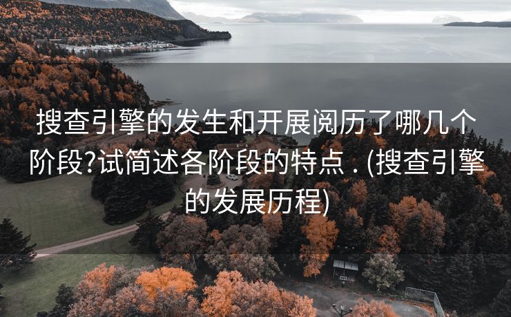 搜查引擎的发生和开展阅历了哪几个阶段?试简述各阶段的特点 . (搜查引擎的发展历程)