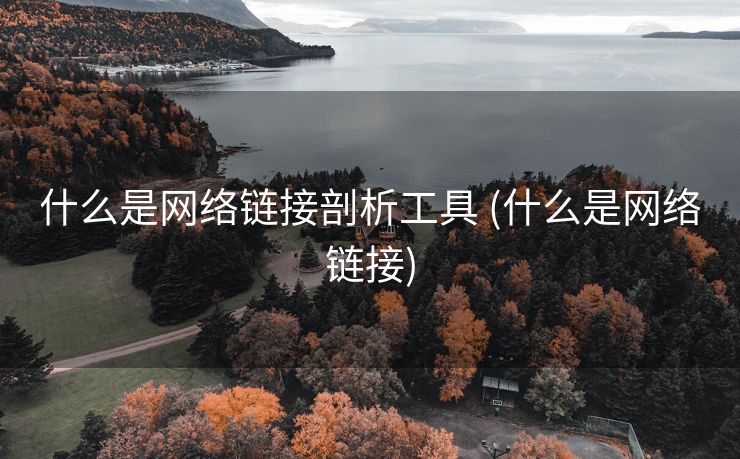 什么是网络链接剖析工具 (什么是网络链接)