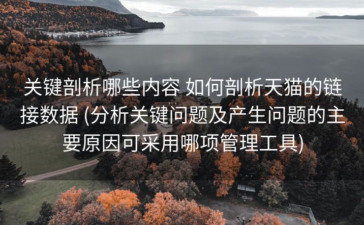 关键剖析哪些内容 如何剖析天猫的链接数据 (分析关键问题及产生问题的主要原因可采用哪项管理工具)