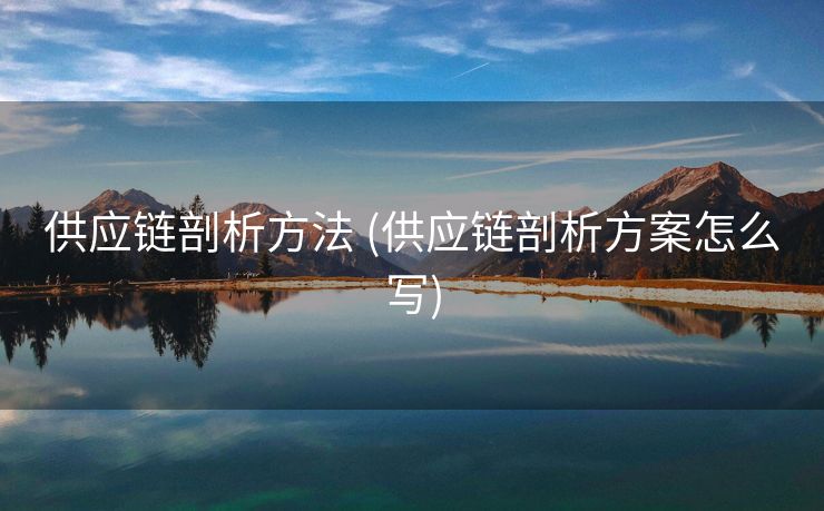 供应链剖析方法 (供应链剖析方案怎么写)