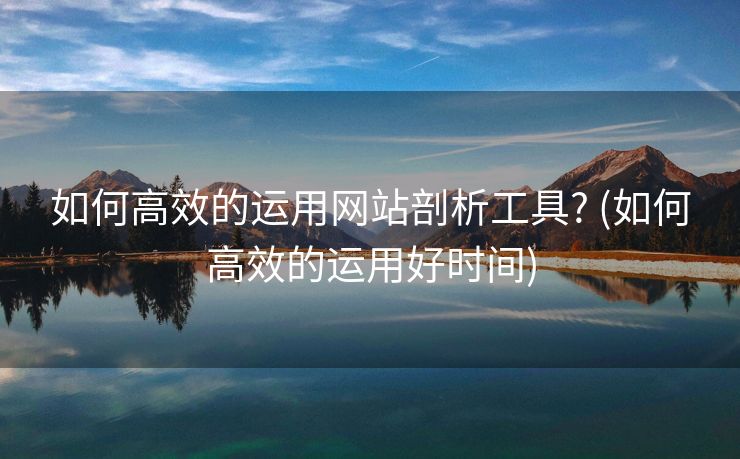如何高效的运用网站剖析工具? (如何高效的运用好时间)