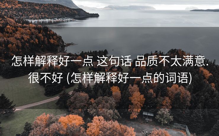 怎样解释好一点 这句话 品质不太满意.很不好 (怎样解释好一点的词语)