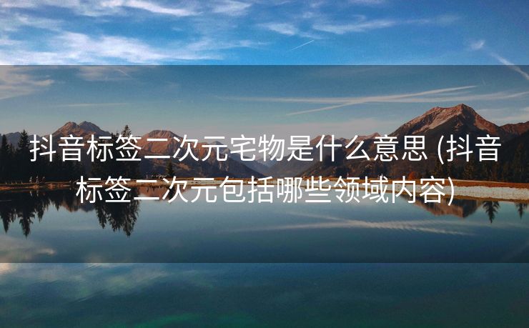 抖音标签二次元宅物是什么意思 (抖音标签二次元包括哪些领域内容)