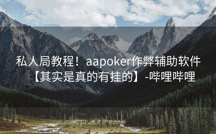 私人局教程！aapoker作弊辅助软件【其实是真的有挂的】-哔哩哔哩