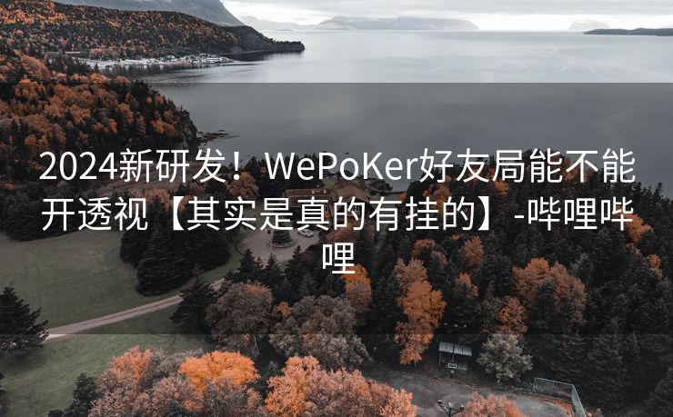 2024新研发！WePoKer好友局能不能开透视【其实是真的有挂的】-哔哩哔哩