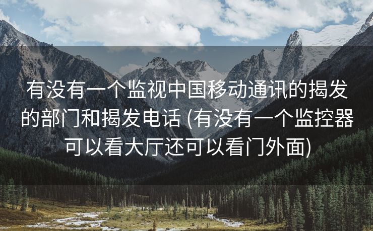 有没有一个监视中国移动通讯的揭发的部门和揭发电话 (有没有一个监控器可以看大厅还可以看门外面)