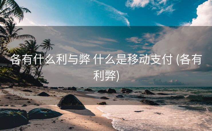 各有什么利与弊 什么是移动支付 (各有利弊)