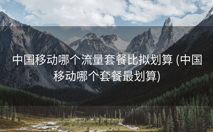 中国移动哪个流量套餐比拟划算 (中国移动哪个套餐最划算)