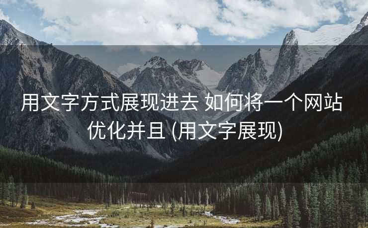 用文字方式展现进去 如何将一个网站 优化并且 (用文字展现)