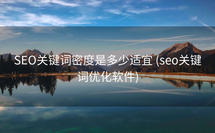 SEO关键词密度是多少适宜 (seo关键词优化软件)