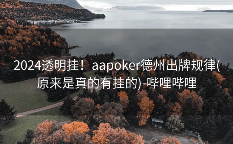 2024透明挂！aapoker德州出牌规律(原来是真的有挂的)-哔哩哔哩