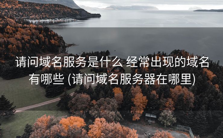 请问域名服务是什么 经常出现的域名有哪些 (请问域名服务器在哪里)