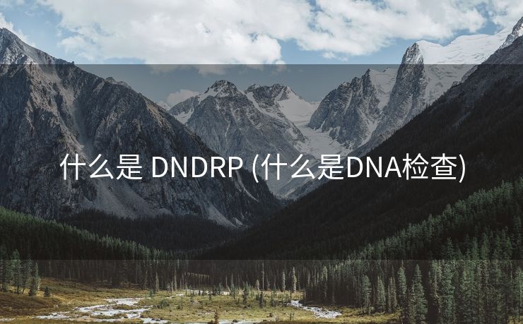 什么是 DNDRP (什么是DNA检查)