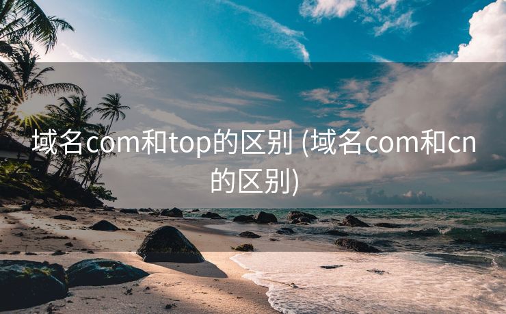域名com和top的区别 (域名com和cn的区别)