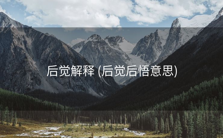 后觉解释 (后觉后悟意思)
