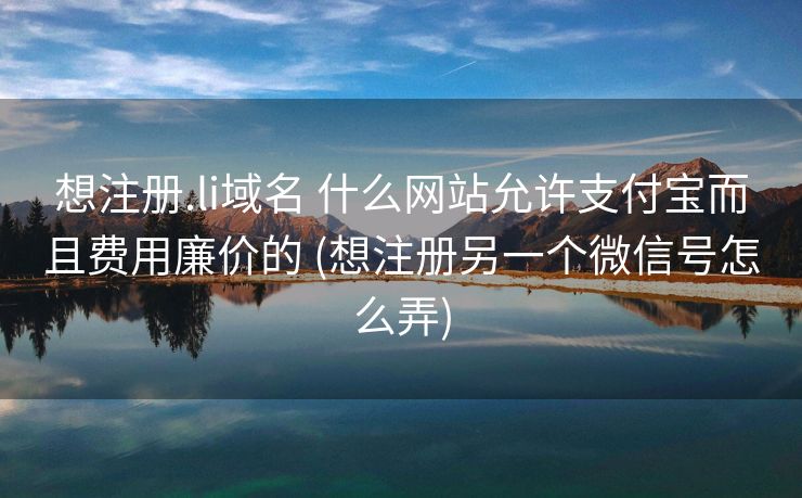 想注册.li域名 什么网站允许支付宝而且费用廉价的 (想注册另一个微信号怎么弄)