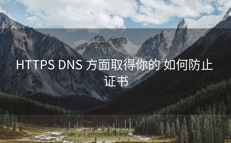 HTTPS DNS 方面取得你的 如何防止 证书