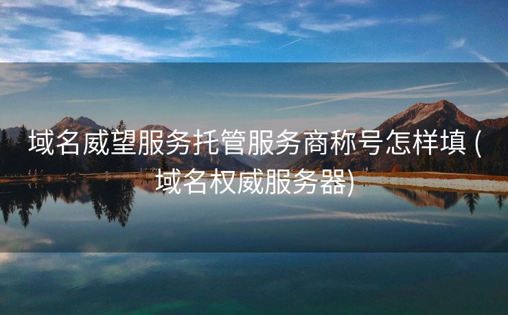 域名威望服务托管服务商称号怎样填 (域名权威服务器)
