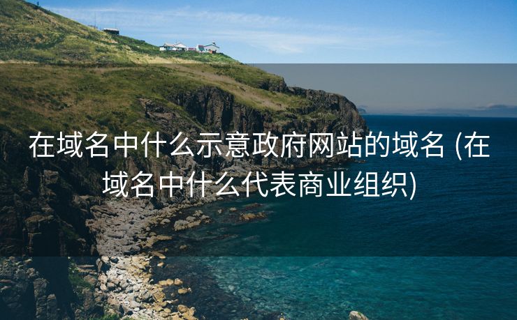 在域名中什么示意政府网站的域名 (在域名中什么代表商业组织)