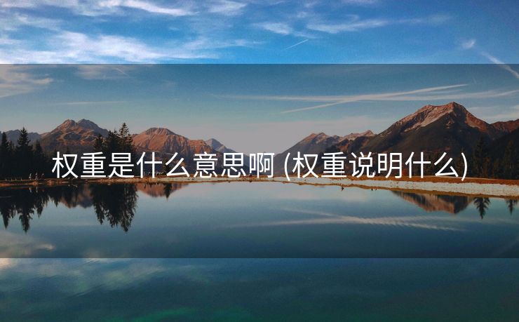 权重是什么意思啊 (权重说明什么)