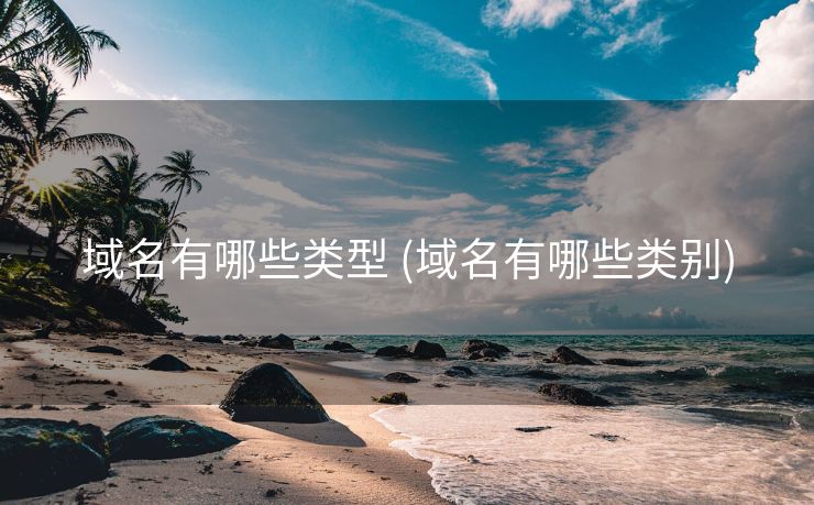 域名有哪些类型 (域名有哪些类别)