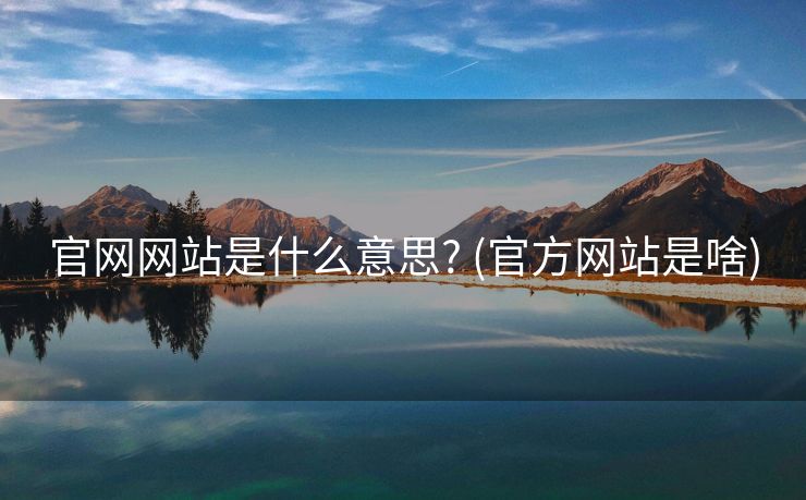 官网网站是什么意思? (官方网站是啥)
