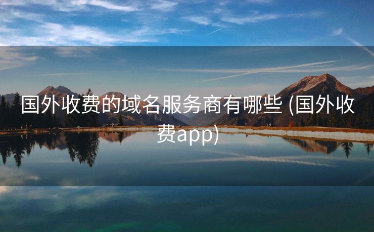 国外收费的域名服务商有哪些 (国外收费app)