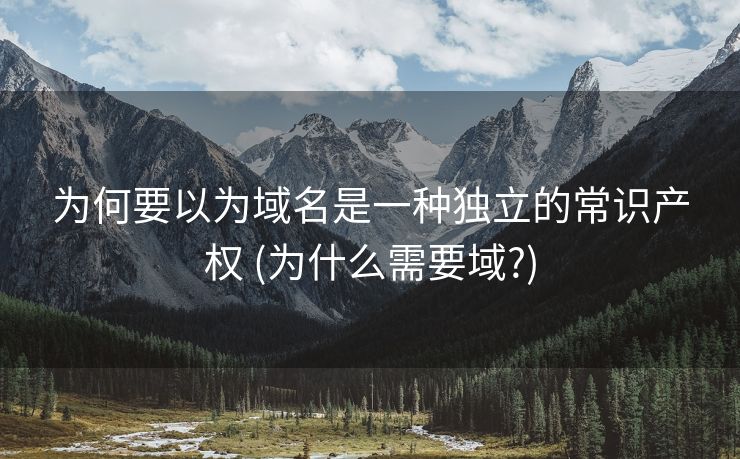 为何要以为域名是一种独立的常识产权 (为什么需要域?)