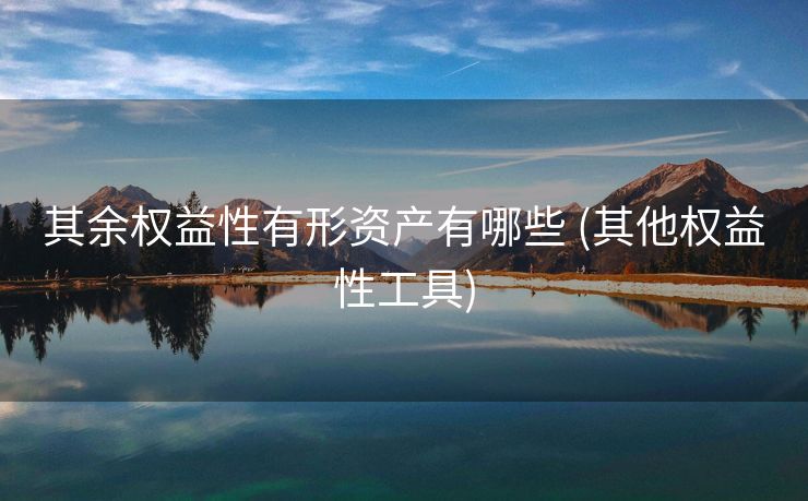 其余权益性有形资产有哪些 (其他权益性工具)