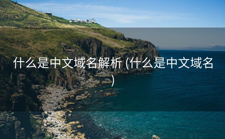 什么是中文域名解析 (什么是中文域名)