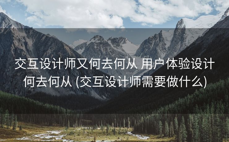 交互设计师又何去何从 用户体验设计何去何从 (交互设计师需要做什么)
