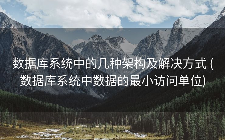 数据库系统中的几种架构及解决方式 (数据库系统中数据的最小访问单位)