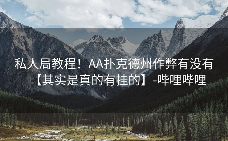 私人局教程！AA扑克德州作弊有没有【其实是真的有挂的】-哔哩哔哩