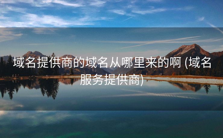 域名提供商的域名从哪里来的啊 (域名服务提供商)