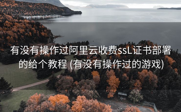 有没有操作过阿里云收费ssL证书部署的给个教程 (有没有操作过的游戏)