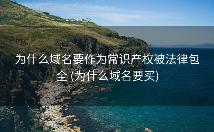 为什么域名要作为常识产权被法律包全 (为什么域名要买)