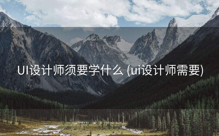UI设计师须要学什么 (ui设计师需要)
