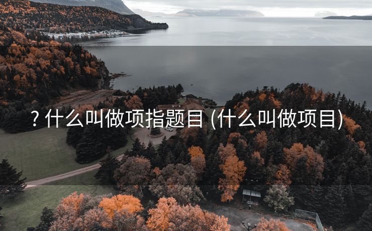 ? 什么叫做项指题目 (什么叫做项目)