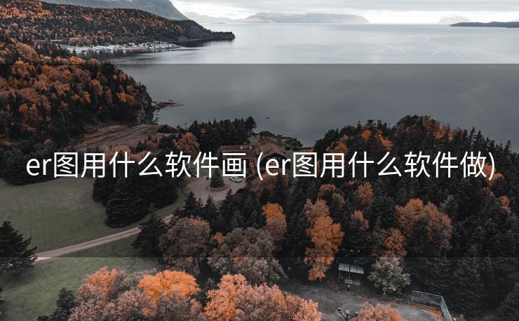 er图用什么软件画 (er图用什么软件做)