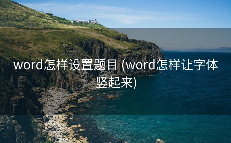 word怎样设置题目 (word怎样让字体竖起来)
