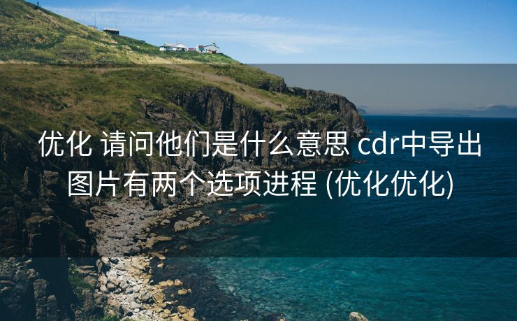 优化 请问他们是什么意思 cdr中导出图片有两个选项进程 (优化优化)