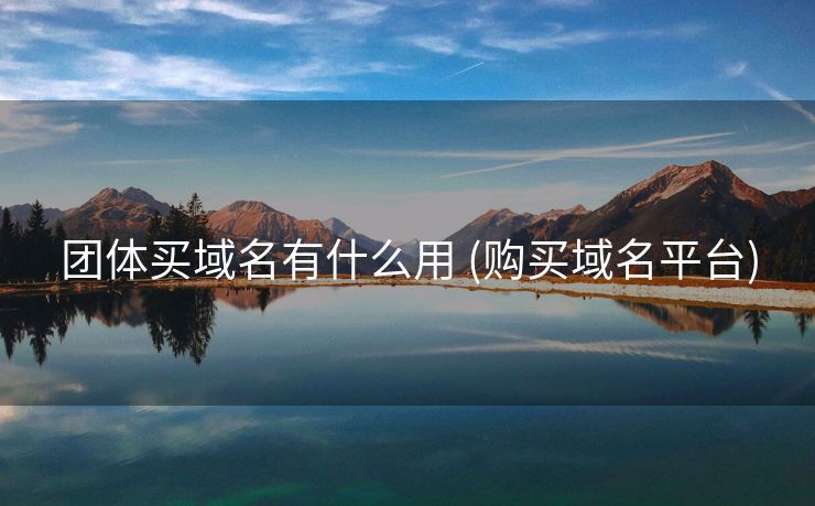 团体买域名有什么用 (购买域名平台)