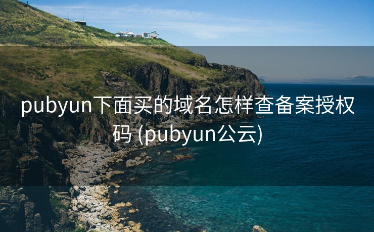 pubyun下面买的域名怎样查备案授权码 (pubyun公云)